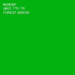 #02B30F - Forest Green Color Image