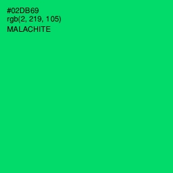 #02DB69 - Malachite Color Image