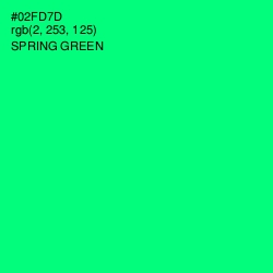 #02FD7D - Spring Green Color Image