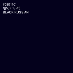 #03011C - Black Russian Color Image