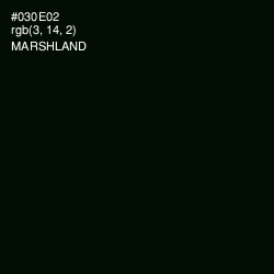 #030E02 - Marshland Color Image