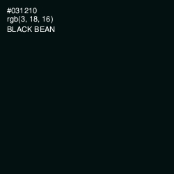 #031210 - Black Bean Color Image