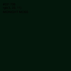 #03170B - Midnight Moss Color Image