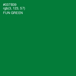 #037B39 - Fun Green Color Image
