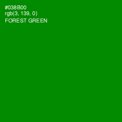 #038B00 - Forest Green Color Image