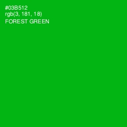 #03B512 - Forest Green Color Image