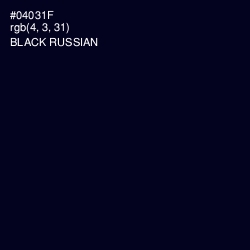 #04031F - Black Russian Color Image