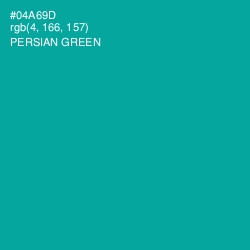 #04A69D - Persian Green Color Image