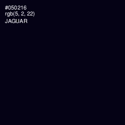 #050216 - Jaguar Color Image