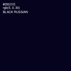 #05031E - Black Russian Color Image