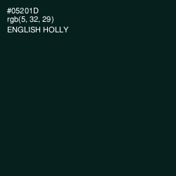 #05201D - English Holly Color Image