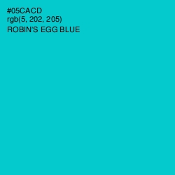 #05CACD - Robin's Egg Blue Color Image