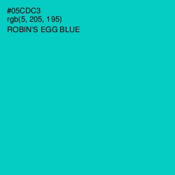 #05CDC3 - Robin's Egg Blue Color Image