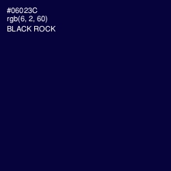 #06023C - Black Rock Color Image
