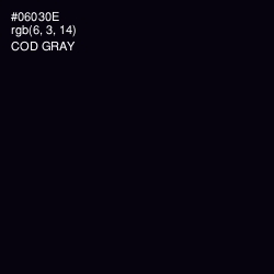 #06030E - Cod Gray Color Image