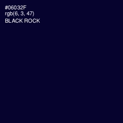 #06032F - Black Rock Color Image