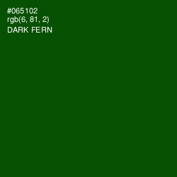 #065102 - Dark Fern Color Image