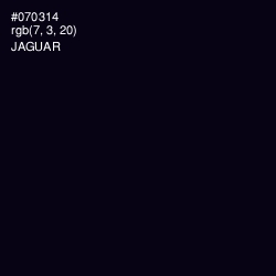 #070314 - Jaguar Color Image