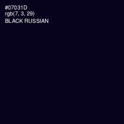#07031D - Black Russian Color Image