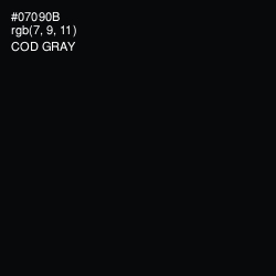 #07090B - Cod Gray Color Image