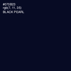 #070B23 - Black Pearl Color Image