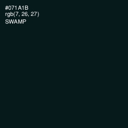 #071A1B - Swamp Color Image