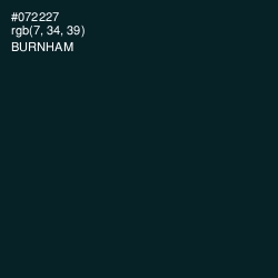 #072227 - Burnham Color Image