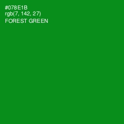 #078E1B - Forest Green Color Image