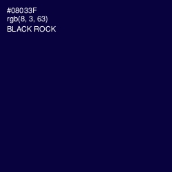 #08033F - Black Rock Color Image