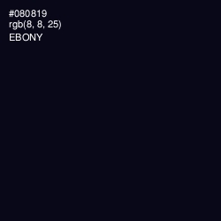 #080819 - Ebony Color Image