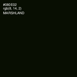 #080E02 - Marshland Color Image