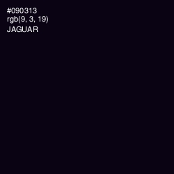 #090313 - Jaguar Color Image