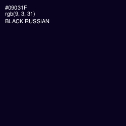 #09031F - Black Russian Color Image