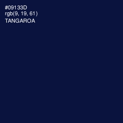 #09133D - Tangaroa Color Image