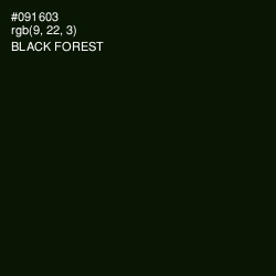#091603 - Black Forest Color Image
