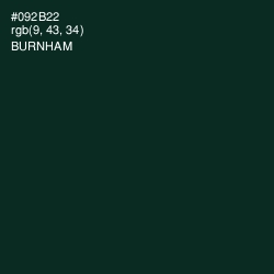 #092B22 - Burnham Color Image