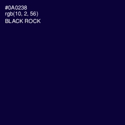 #0A0238 - Black Rock Color Image