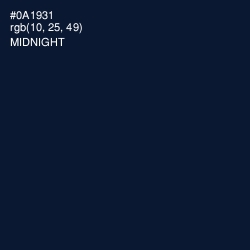 #0A1931 - Midnight Color Image