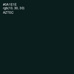 #0A1E1E - Aztec Color Image