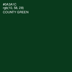 #0A3A1C - County Green Color Image