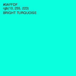 #0AFFDF - Bright Turquoise Color Image