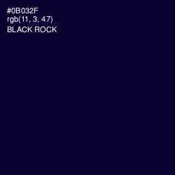 #0B032F - Black Rock Color Image