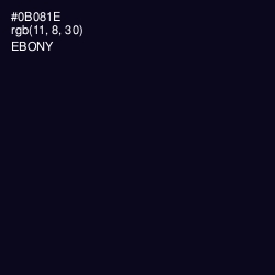 #0B081E - Ebony Color Image