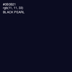 #0B0B21 - Black Pearl Color Image