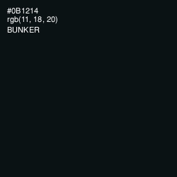 #0B1214 - Bunker Color Image