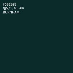 #0B2B2B - Burnham Color Image
