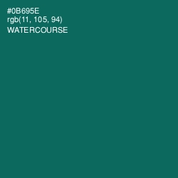 #0B695E - Watercourse Color Image