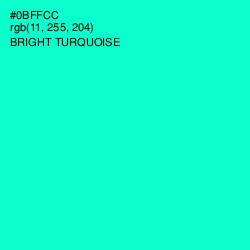 #0BFFCC - Bright Turquoise Color Image