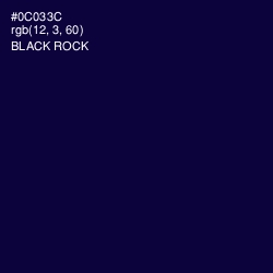 #0C033C - Black Rock Color Image
