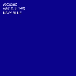 #0C038C - Navy Blue Color Image